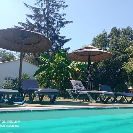 Mas Des Vignes Piscine Chauffee Bed and Breakfast Le Champ-Saint-Pere Buitenkant foto