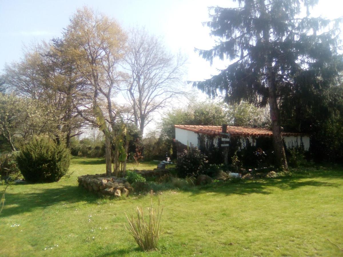 Mas Des Vignes Piscine Chauffee Bed and Breakfast Le Champ-Saint-Pere Buitenkant foto