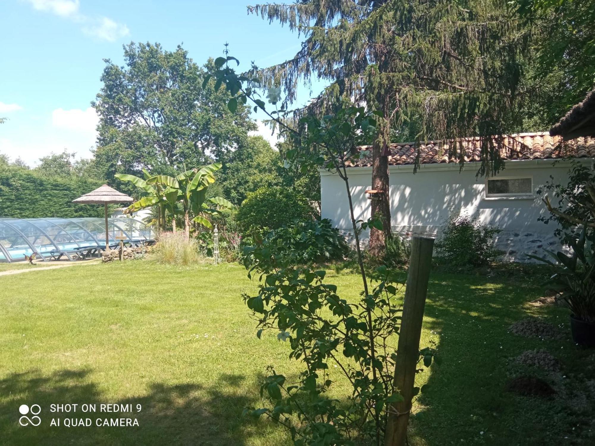 Mas Des Vignes Piscine Chauffee Bed and Breakfast Le Champ-Saint-Pere Buitenkant foto