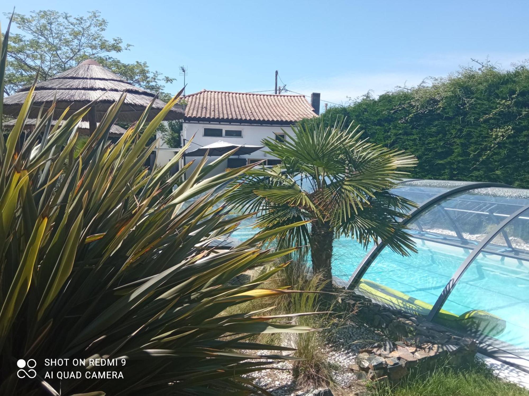 Mas Des Vignes Piscine Chauffee Bed and Breakfast Le Champ-Saint-Pere Buitenkant foto